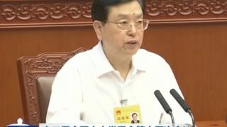 张德江谈职业教育问题:要面向社会需要办学