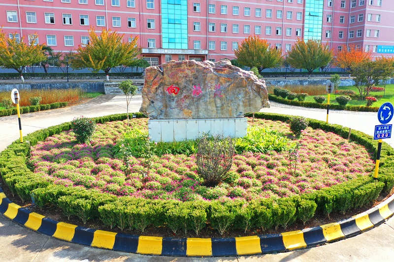 向阳苑.jpg